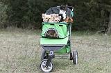 POUSSETTE - STROLLER 003